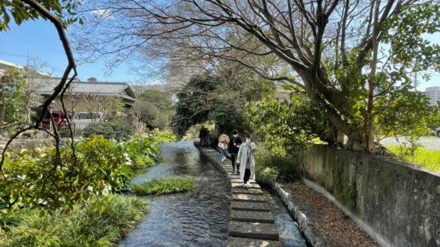 静岡県三島市源平衛川